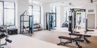 Mondrian on Lake Eola Gallery 30