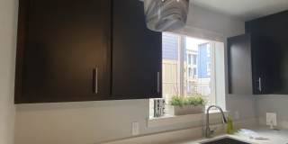 Queen Court Apartments Gallery 12