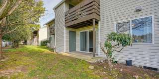 Kings Meadow Gallery 11