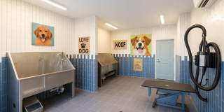 Tropia Wellen Park Gallery 35