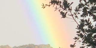 8808 CHATLAKE Dr Gallery 28