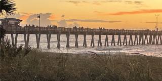 333 THE ESPLANADE N Gallery 38