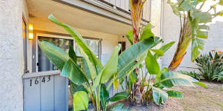 Beautiful 2Bd/2Ba Condo w/2 Reserved Parking Spaces, Extra Storage and Patio in Fullerton! Gallery 1