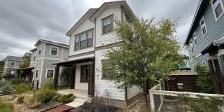 1146 N. Olive St. Gallery 1