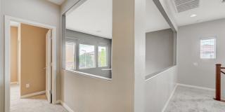 11234 Almador Vista Court Gallery 38