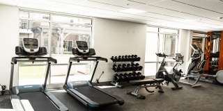 400 Element Gallery 24