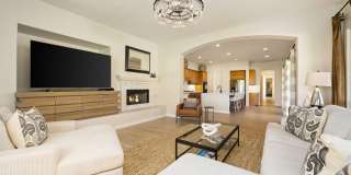 78980 Citrus Gallery 23