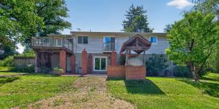 23017 Timber Creek Lane Gallery 11