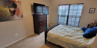42603 Cardinal Trace Terrace Gallery 10