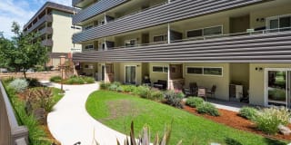 Vista Torre Gallery 1