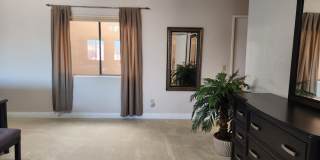 41786 Woodhaven Dr W Gallery 22