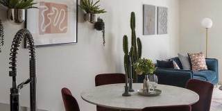 Volta on Pine Gallery 4