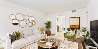 Misty Pines Gallery 13