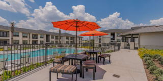 Palmetto Pointe Gallery 27