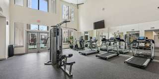 Haven at Main Gallery 8