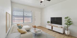 Olivo Square Apartments Gallery 4