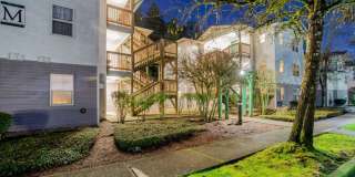 Fern Ridge Gallery 11