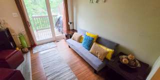 Beautiful 3BR Townhouse in Rockville/Derwood for early June Move-In! Gallery 13