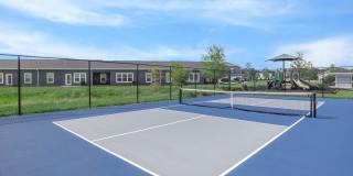 West Shire Village Gallery 41