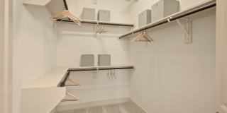 Virage Gallery 63