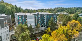 Adara at Totem Lake Gallery 20