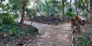 1020 Pinetree Drive Gallery 32
