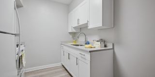 Mt. Airy Place Gallery 5