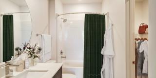 Vine at Panorama Gallery 19