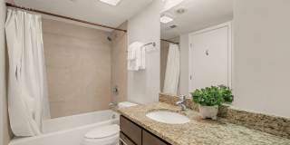 Stunning 1 Br 1 bath apartment in Bloomingdale Gallery 6