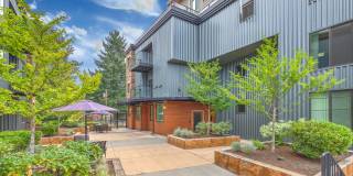 Redmond Square Gallery 8