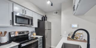 The Jaxon Gallery 22