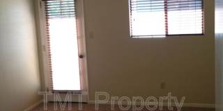 881-D Peach Gallery 8