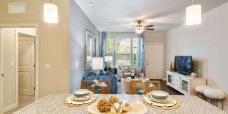 Springs at Tradition Gallery 10