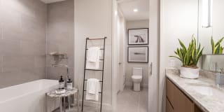 The Village Drey Gallery 10