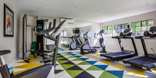 Avana Gilbert Gallery 15