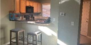 1009 Andrews Peak Dr Gallery 6