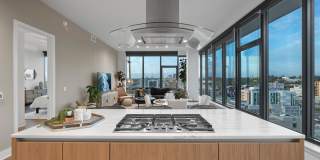 Stanza Little Italy Gallery 9