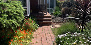 75 Parnassus Road Gallery 9