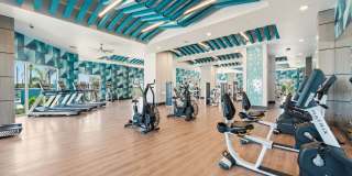 The Vivien Gallery 65