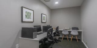 Steeplechase Gallery 5