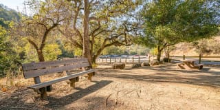 Sofi Berryessa Gallery 33