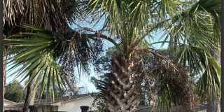 HC-Hidden Cove Apartments Gallery 1