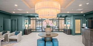 The Canopy Gallery 33