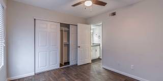 Rise on Cactus Gallery 59