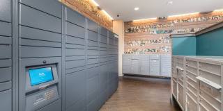 Sandy Lofts Gallery 25