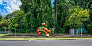 The Harrison Gallery 28