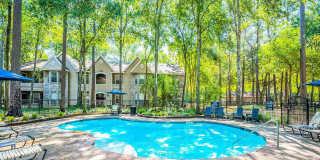 Timber Mill Gallery 1