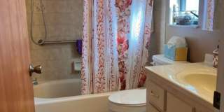 Bring your dog!  2 bedroom, 2 bath, Single family home in South Venice Gallery 29
