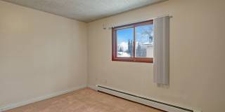 Conifer Grove Gallery 12