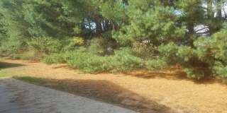 229 Torrey Pines Drive Gallery 10